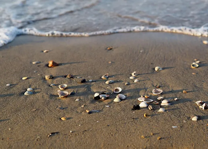 Апартаменты Comfortable Sea-front Flat Бибионе